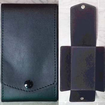 Jewel Case in Leather