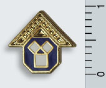 Pin "Altstuhlmeister", 18 ct vergoldet