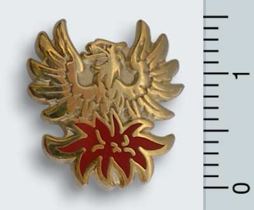 Pin's "Phénix", RER