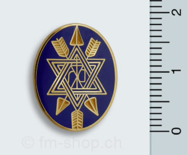 Pin "Order of Secret Monitor"